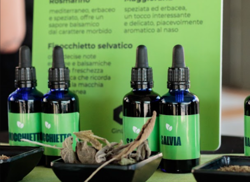 Boccette di aromi erbacei: salvia, finocchietto, rosmarino
